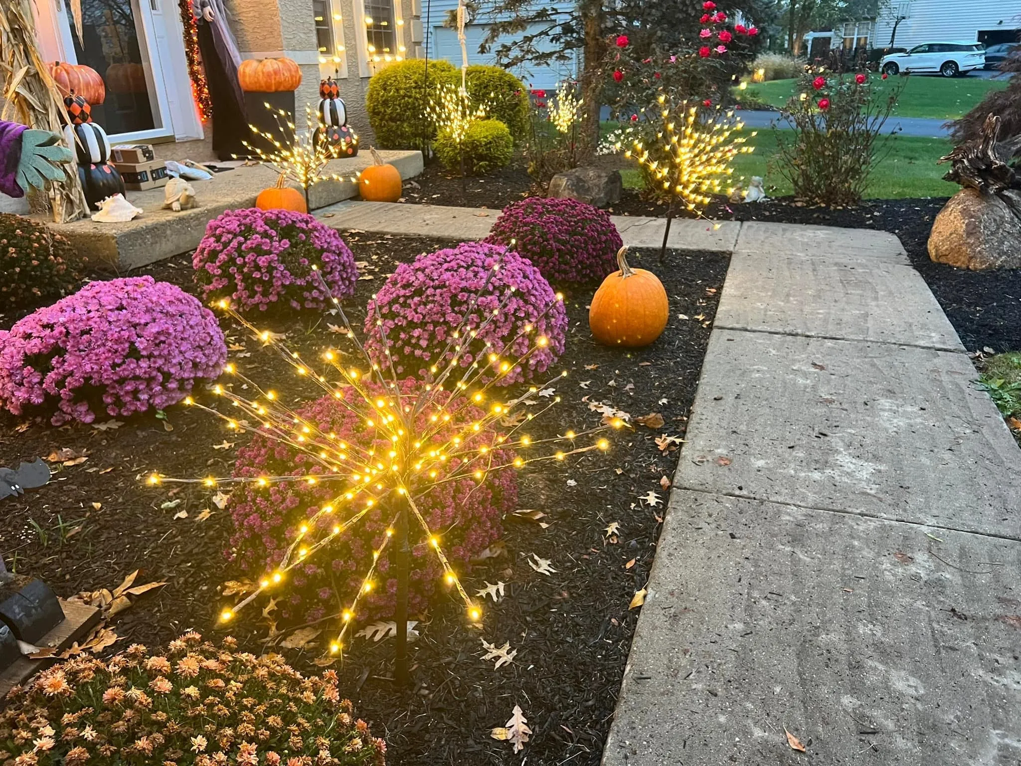 LED 36" Glimmer Spray