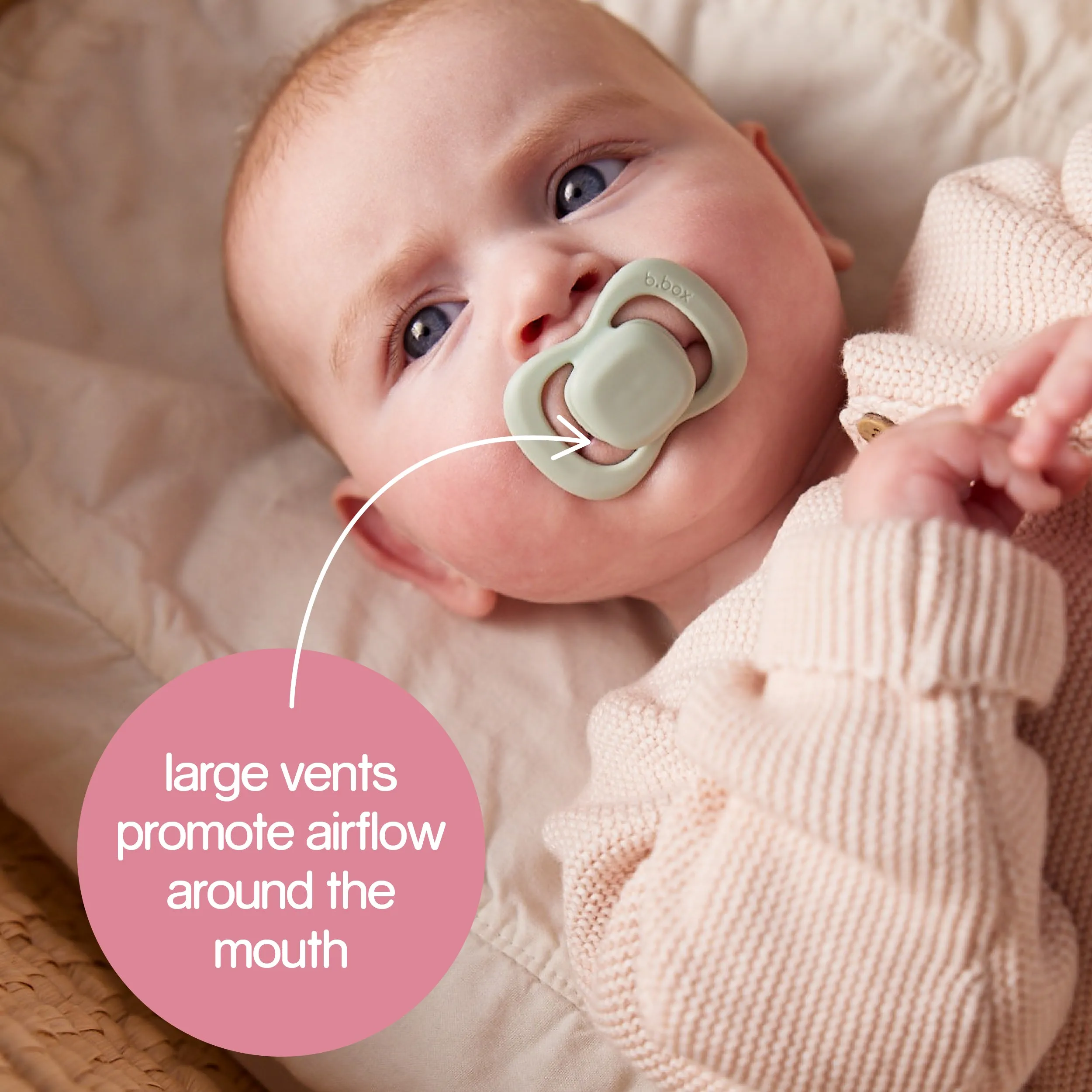 pacifier twin pack - berry   blush